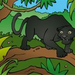Zwarte jaguar