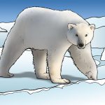 Wetenschappers kunnen ijsberen nu onderzoeken via pootafdrukken