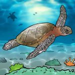 Meer zeeschildpadden op Bonaire