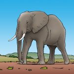 Ruimte voor olifanten