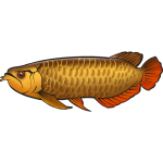 Leuke weetjes over de Aziatische Arowana