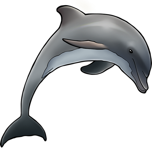 Dolfijnen schreeuwen over lawaai van mensen