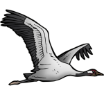 Het gaat goed met de broedvogel in Nederland