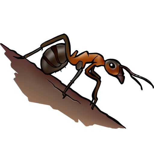 Afrikaanse mieren zijn dokters