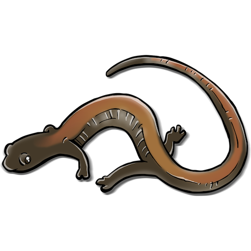 Longloze salamander