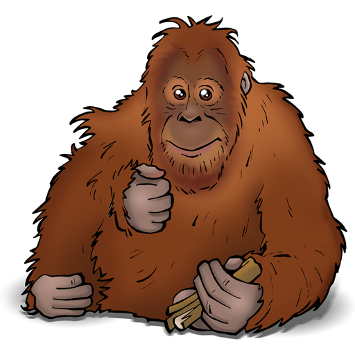 Leuke weetjes over de Orang-oetan