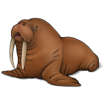 Walrus gespot bij Schiermonnikoog