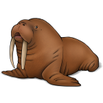 Walrus Thor bezoekt het strand van Petten